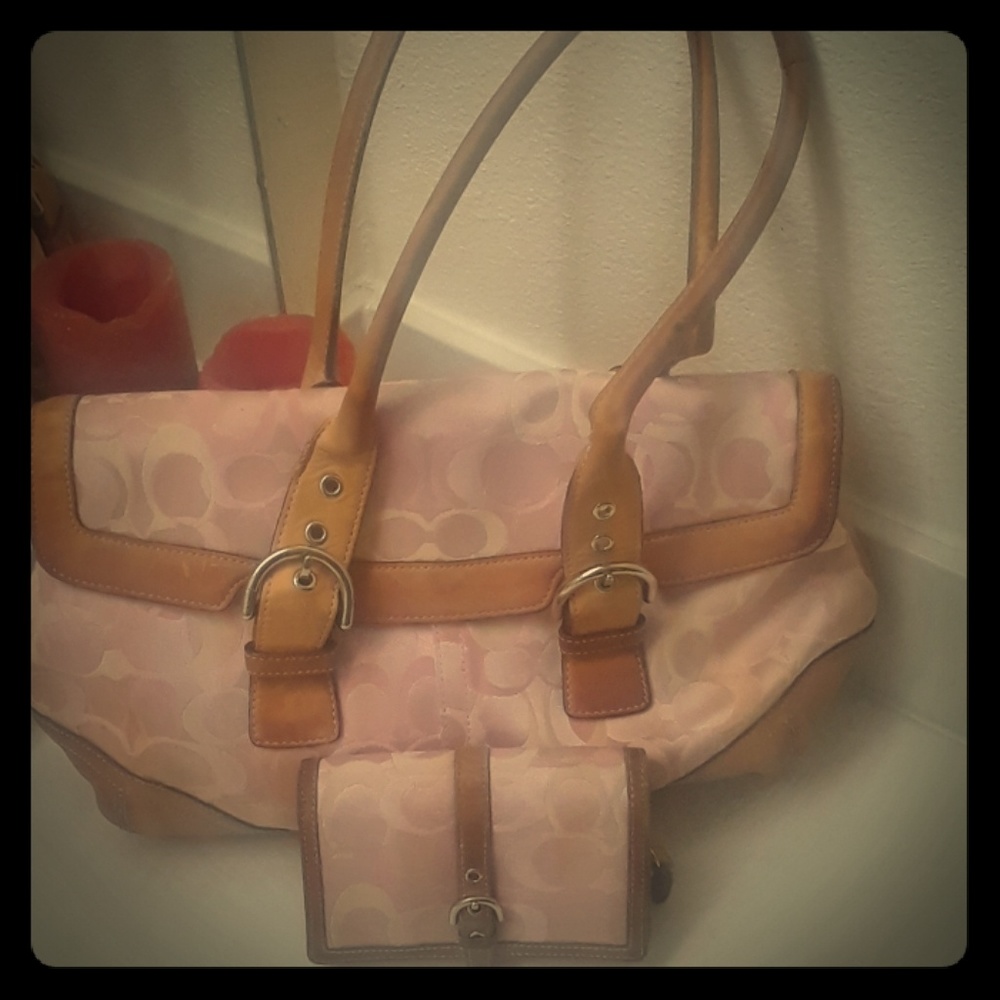 Coach Bag and Wallet
